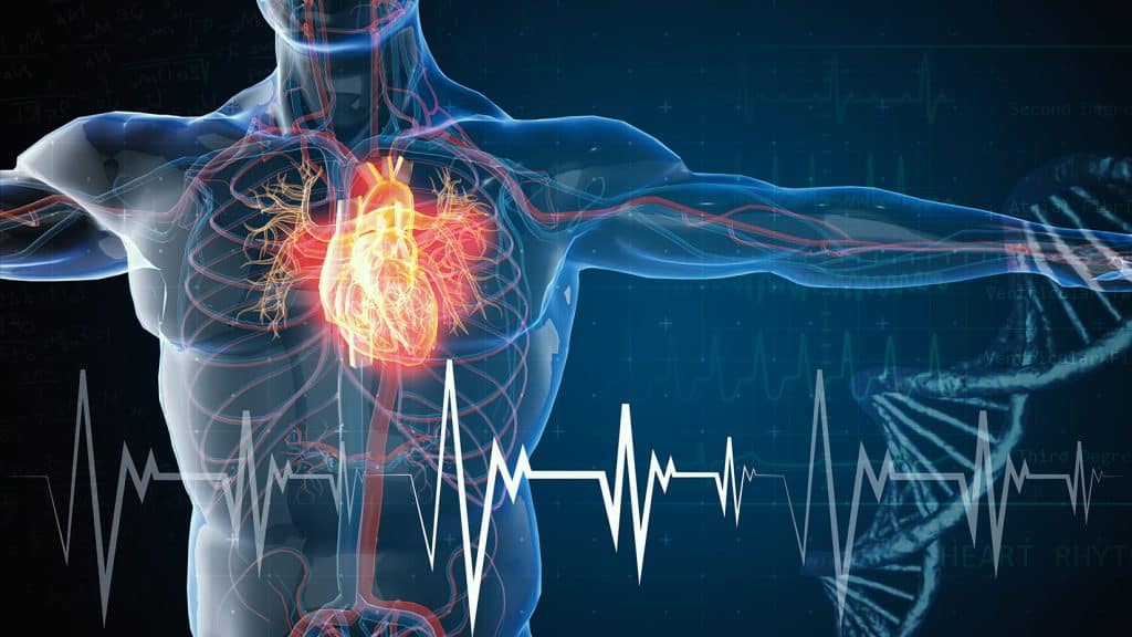 Personalized Food & Nutrition Care: Revolutionizing Hypertension and Cardiovascular Disease Management